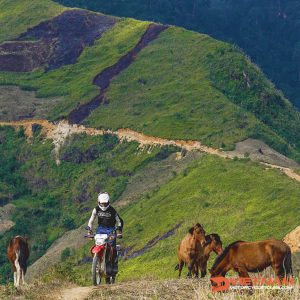 dirt bike trails why you should try it - Motorcycle Tour VietnamBikers