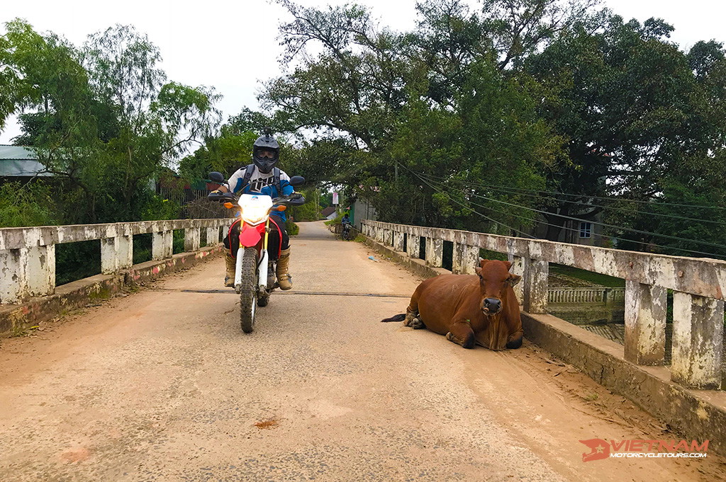 General rules for motorbike riding in Vietnam