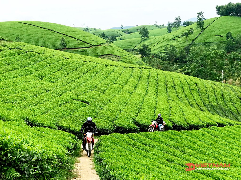 The ideal time to travel to Sapa By Motorcycle