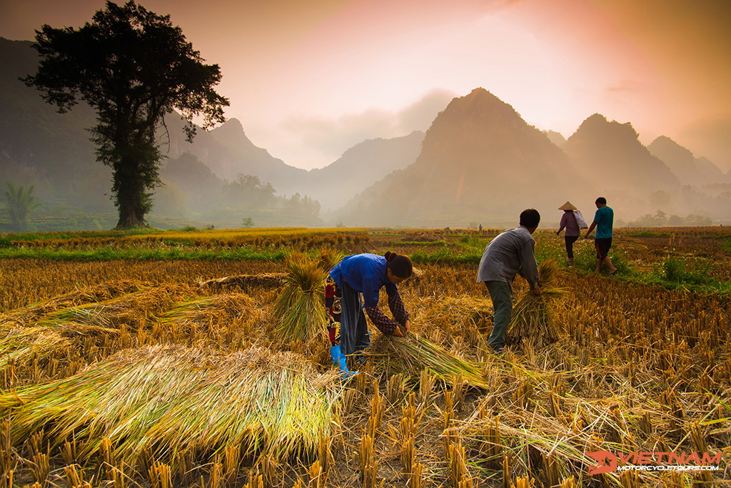 What to do during Ban Gioc Motorcycle Tours?