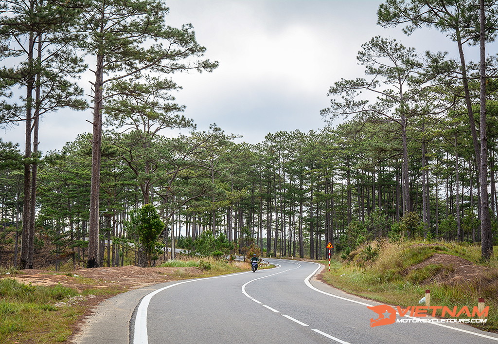 Dalat motorbike tours in Vietnam 2022