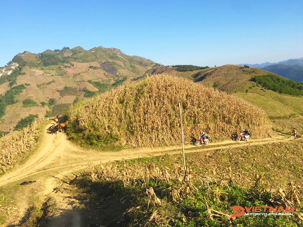 NORTH MOTORBIKE TOURS OF VIETNAM