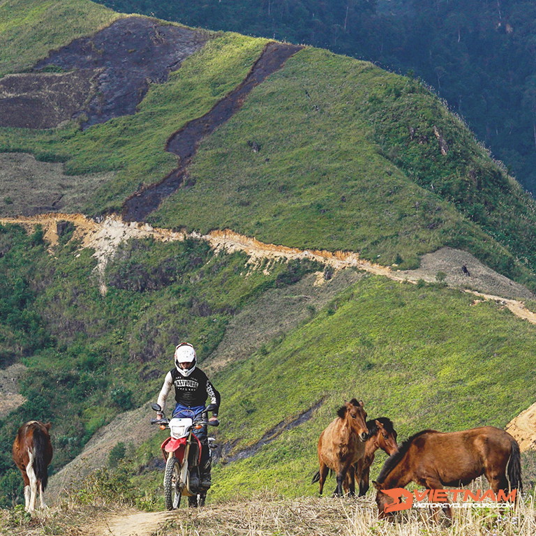 Route 8: Than Uyen - North Vietnam Motorcycle Tours