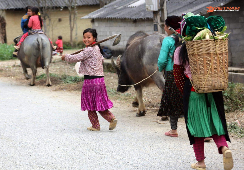 Best Time To Enjoy Ha Giang Motorcycle Tours