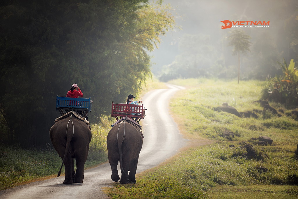 Introduction Of Laos Motorbike Tours