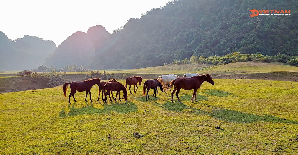 Motorcycle Tours - travel-vietnam-motorbike-tours-vietnambikers