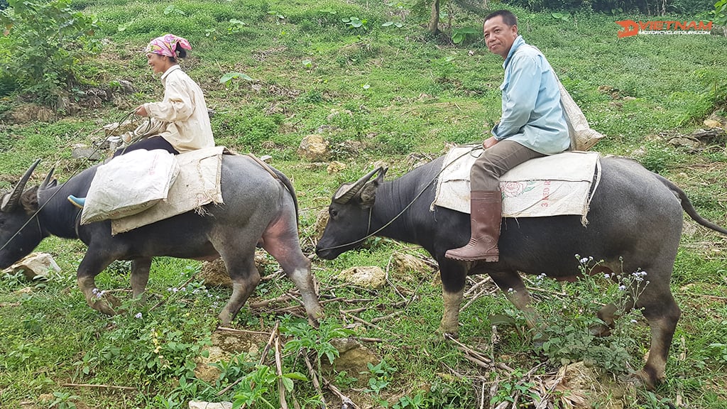 Motorcycling from Hanoi to Mai Chau (Hoa Binh)