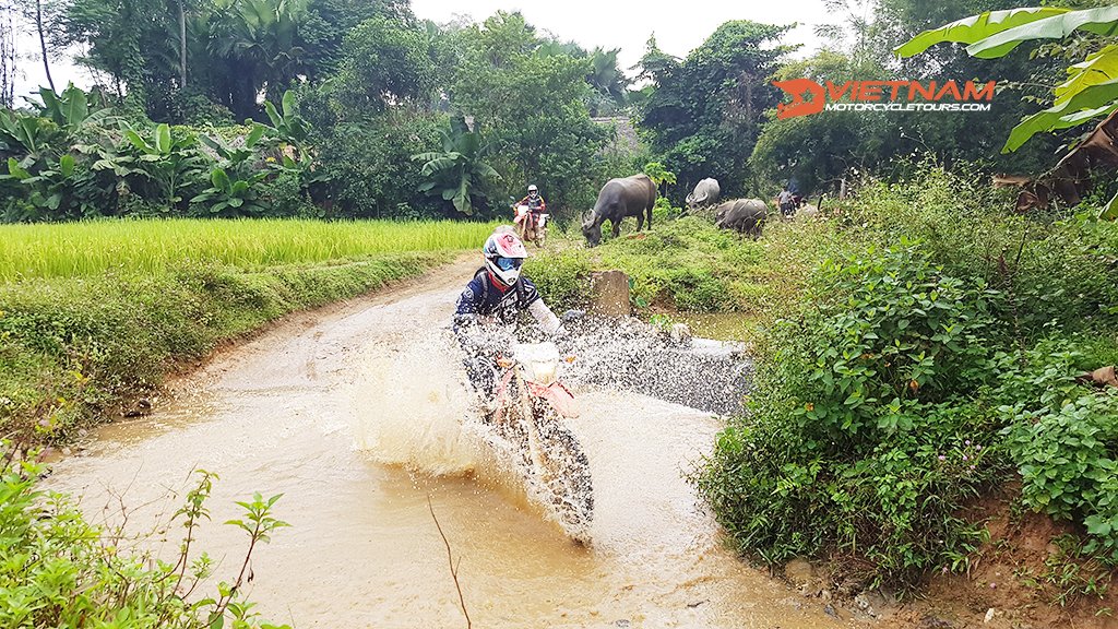 vietnam motorcycle tours: 18 days of amazing coastal ride-vietnam-by-motorbike