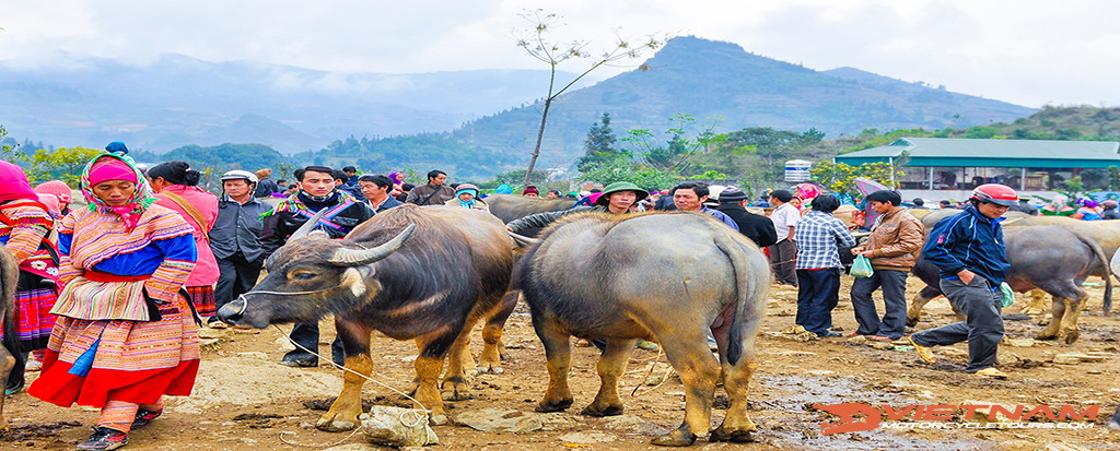 Y Linh Ho – Lao Chai – Ta Van - Giang Ta Chai - Supan - Bac Ha Market