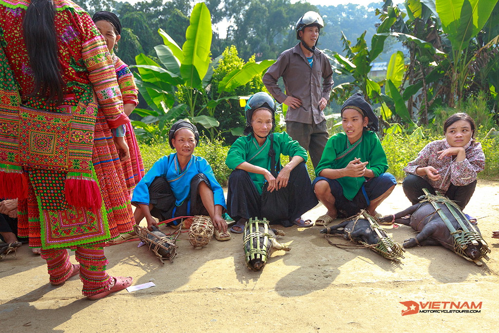 Ha Giang Loop by motorbike