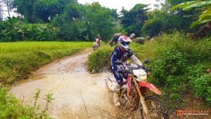 Motorcycle Rental Near Me - Motorbike Tour VietnamBikers