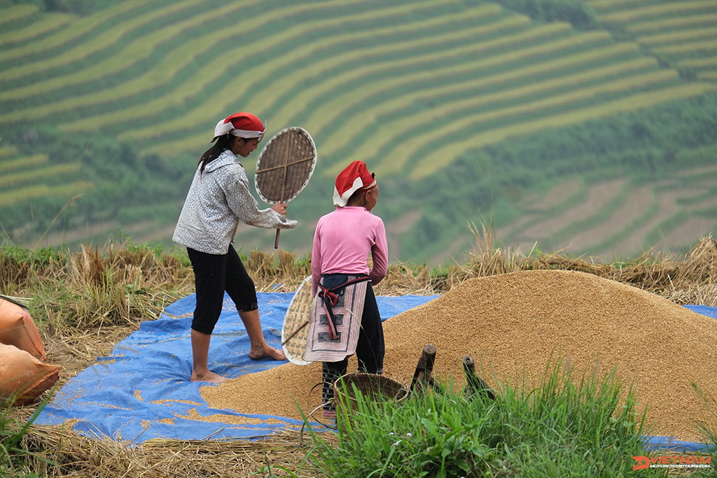 Sapa Seven-Day Trip Motorcycle Tours Near Me