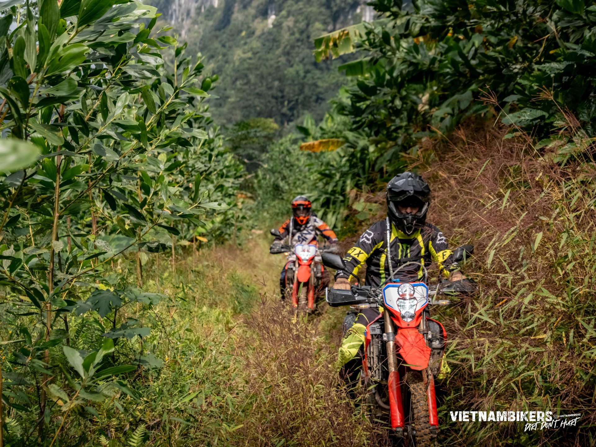 21 days discover hanoi 8211 saigon with a motorbike tour ho chi minh trail - Motorcycle Tour VietnamBikers