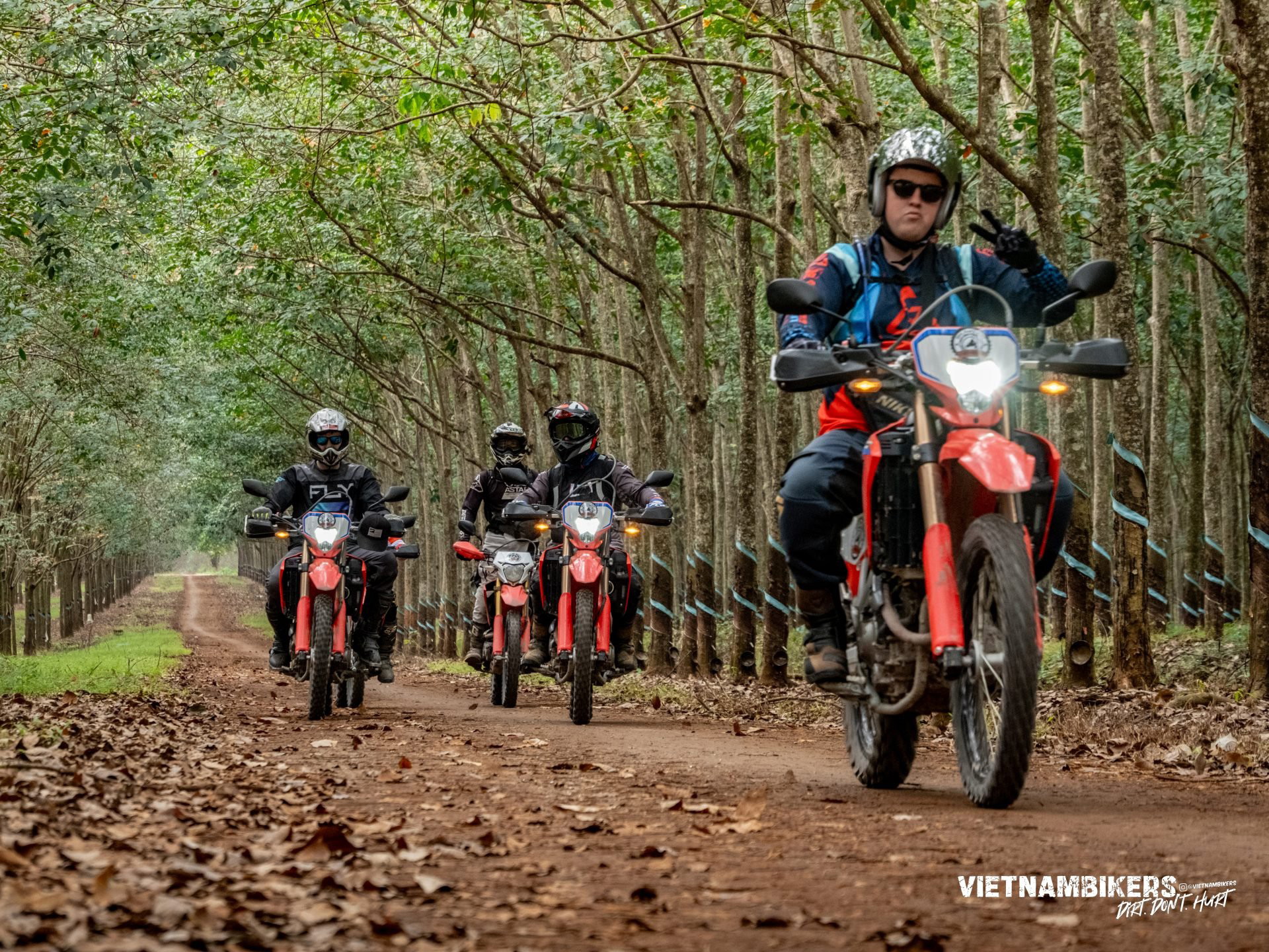 saigon 8211 cat tien national park motorbike tour 2d 1n a great adventure - Motorcycle Tour VietnamBikers