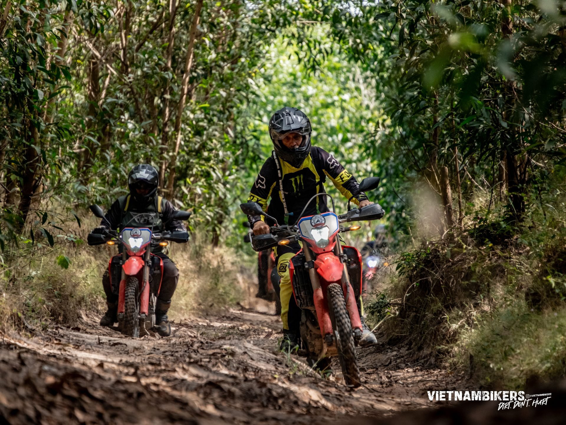 a thorough sai gon motorcycle tour to hue guideline 12d 11n - Motorcycle Tour VietnamBikers