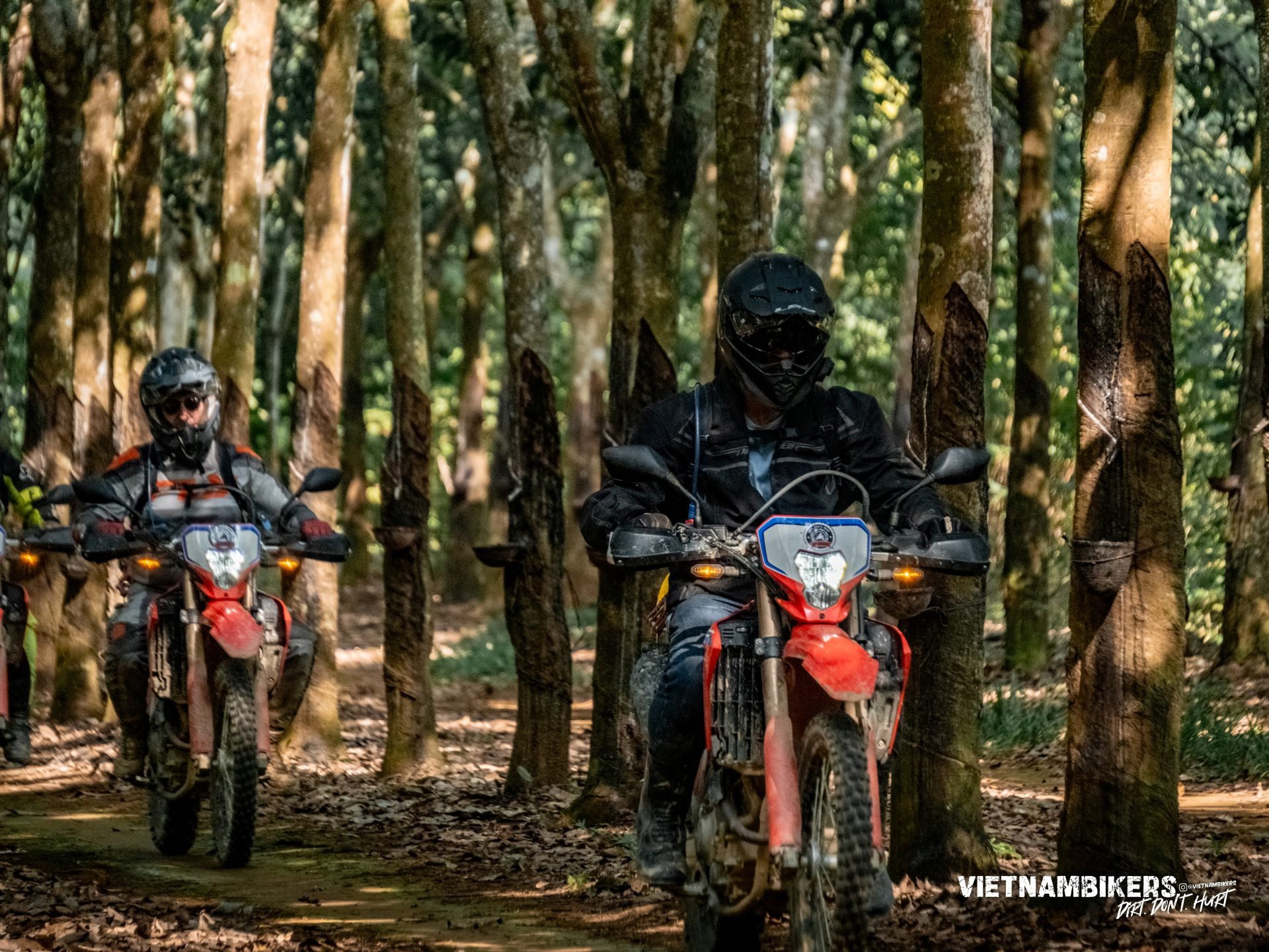 saigon motorcycle trip 9 days a journey to the high central of vietnam - Motorcycle Tour VietnamBikers