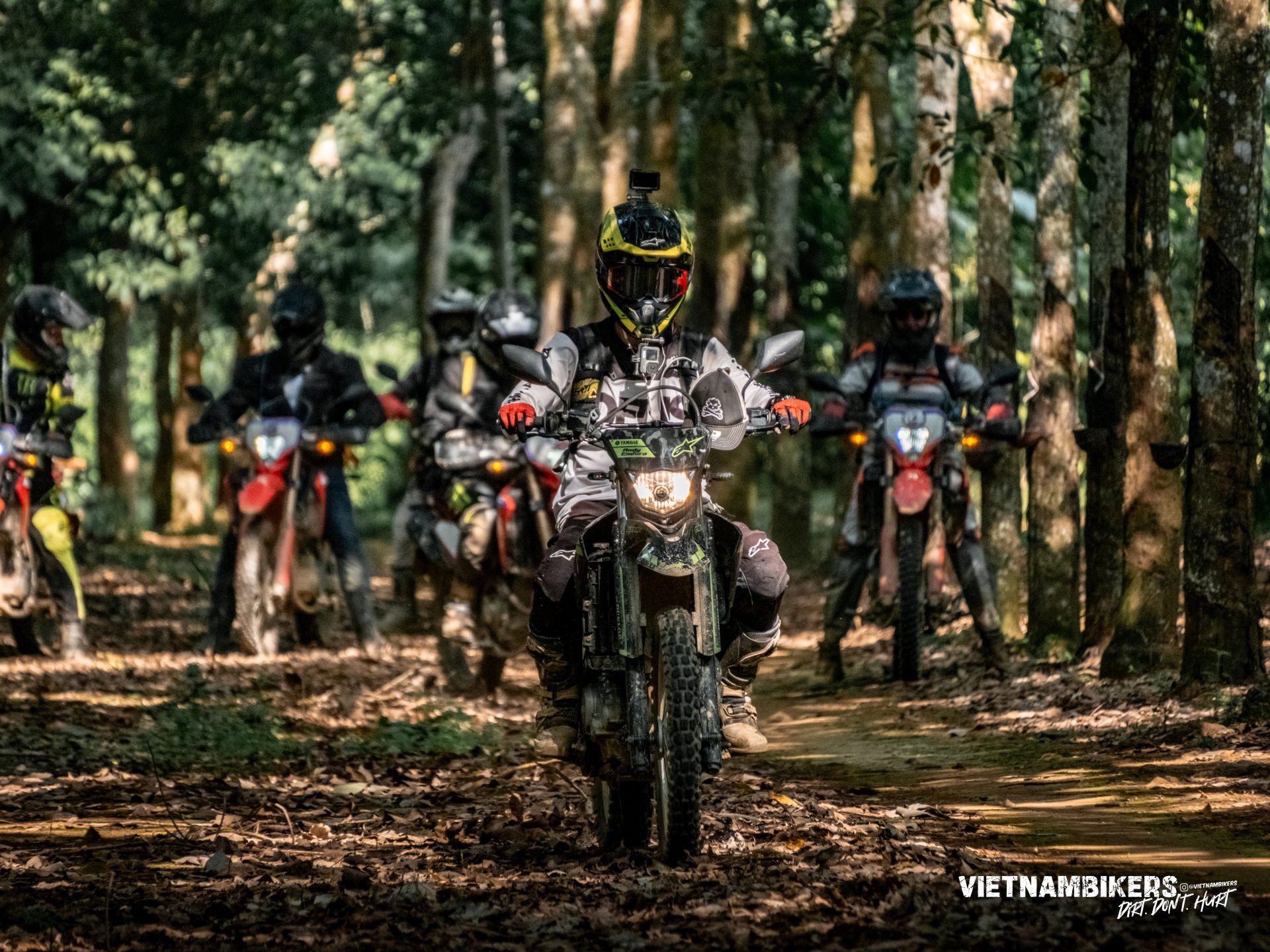 saigon motorbike trip to hoian a 9 day adventure journey - Motorcycle Tour VietnamBikers