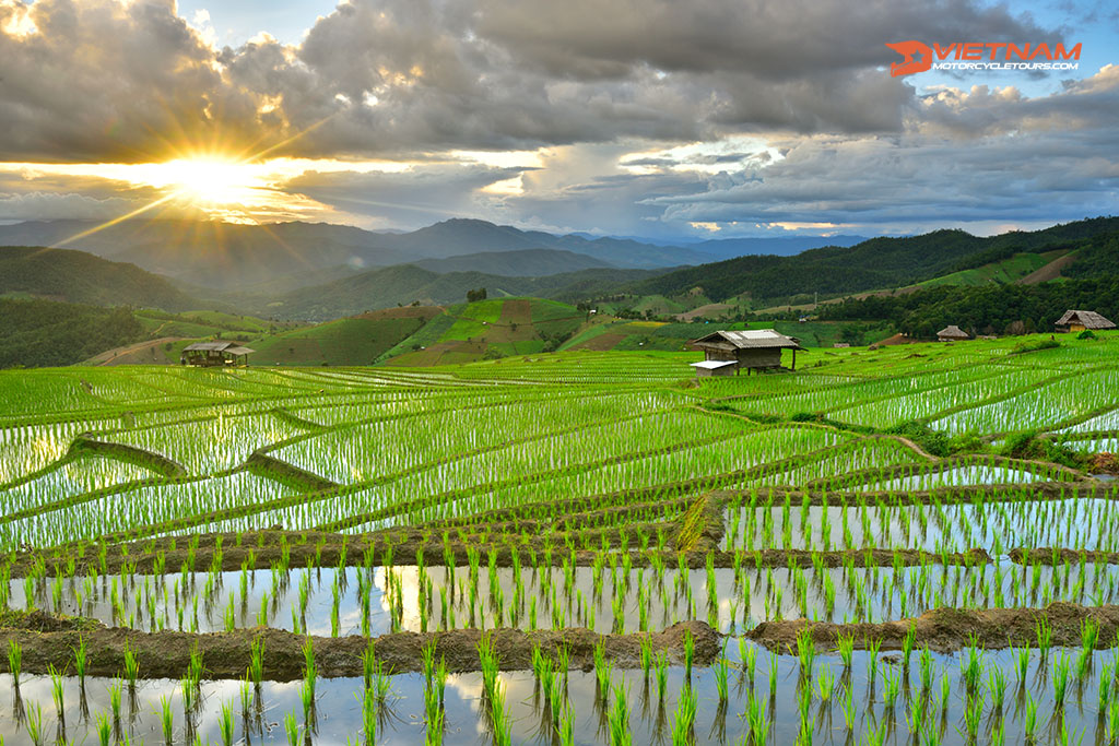 Chiangmai, Thailand