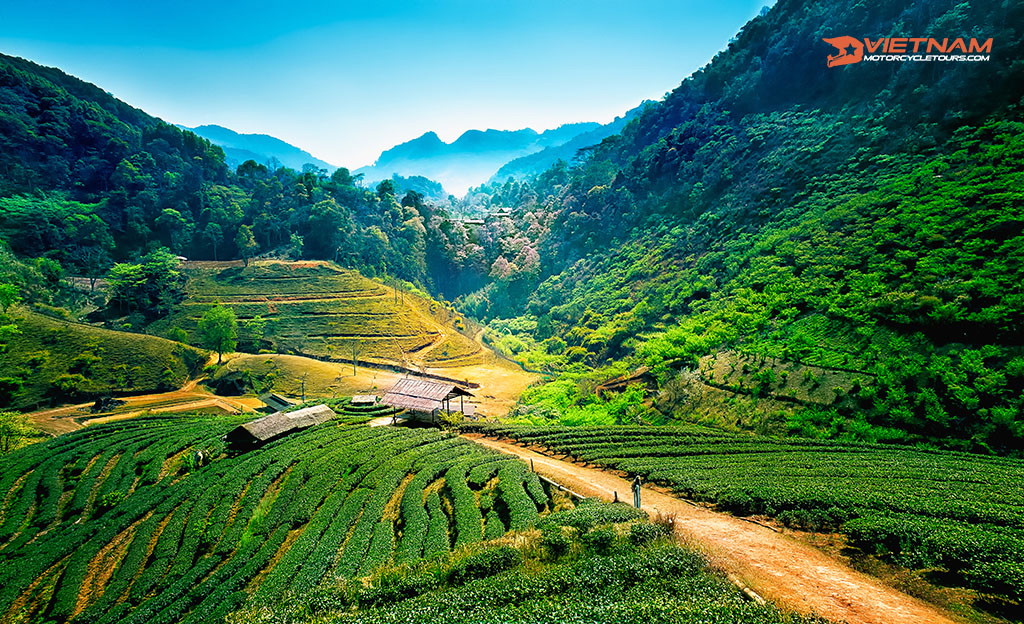 Angkhang mountain, Chiang Mai, Thailand