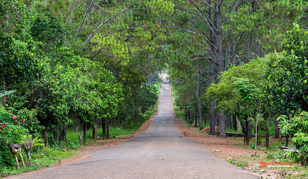 Cambodia Motorbike Tours - 9-Day Tumble Through The Jungle - Motorbike Tour VietnamBikers