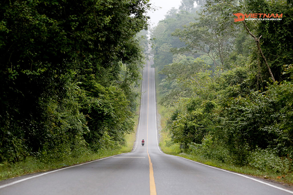 Khao Yai National Park, Nakhon Ratchasima province, Thailand.