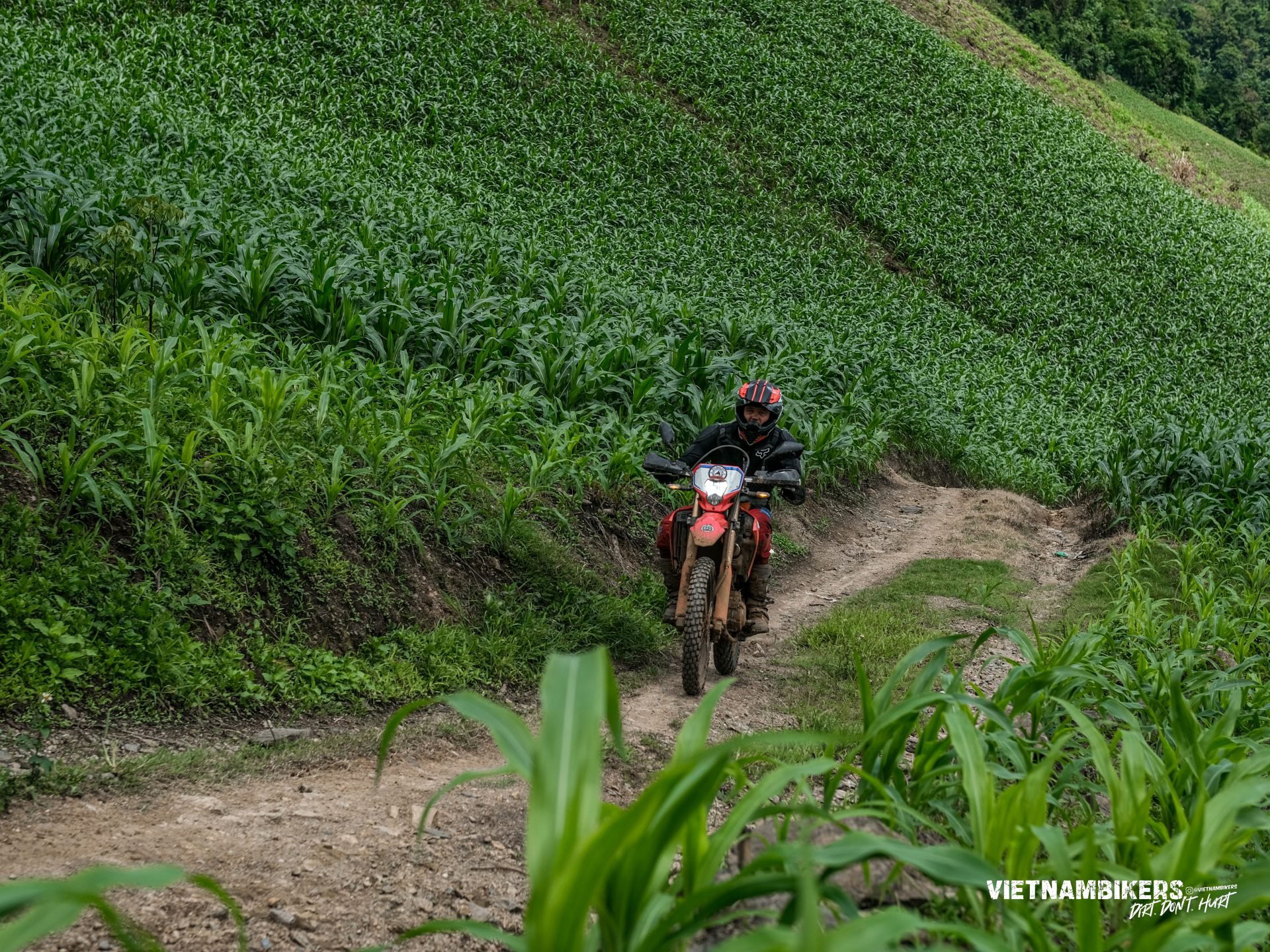 northwest reservation hop 6d 5n a journey not to be missed - Motorcycle Tour VietnamBikers