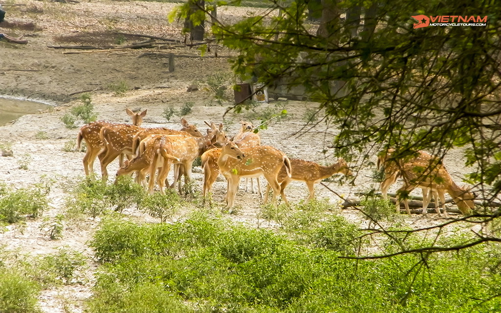 Hampi to Gabadi Motorbike Tour