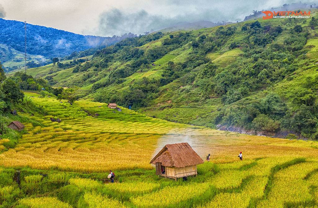 The Ngoc Linh Nature Reserve Loop, Kon Tum