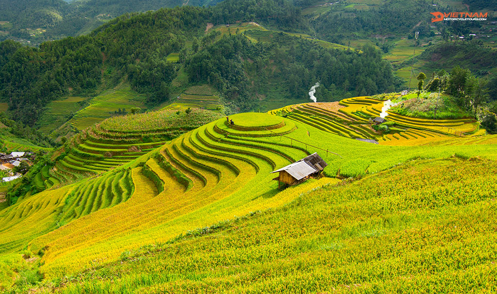 Mu Cang Chai - Sapa Motorbike Trip