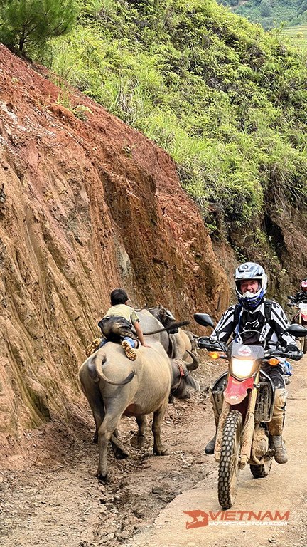 10+ Tips Riding In Vietnam, All Riding Tips You Need To Know - Motorbike Tour VietnamBikers