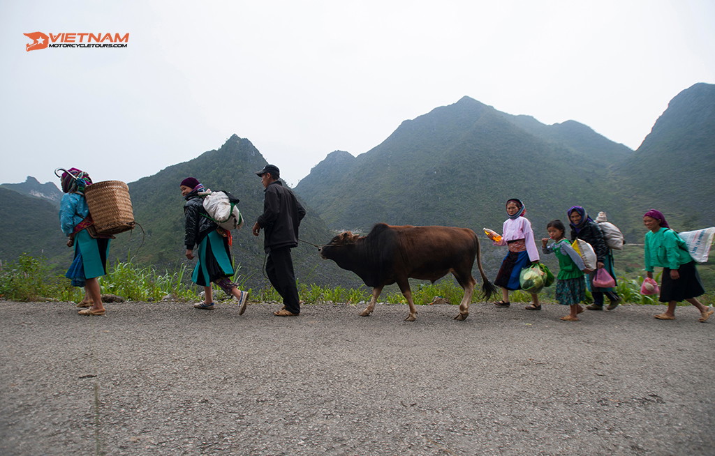 Transfer From Hanoi to Ha Giang City