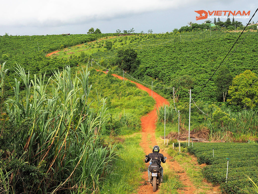 Trieu Hoa - Lam Ha By Motorbike