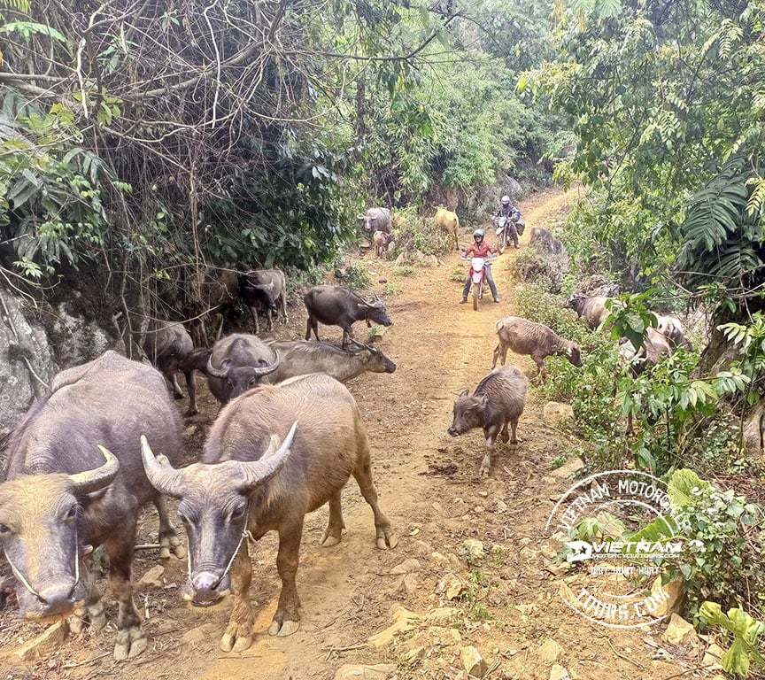 Border Crossing Vietnam Laos Motorbike: Tips For First-Timers - Motorbike Tour VietnamBikers