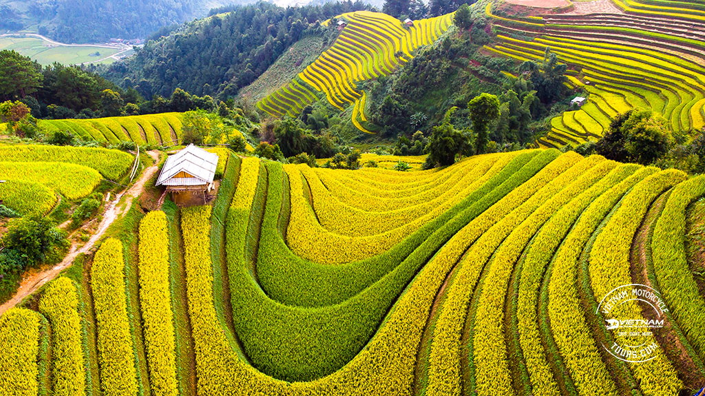 Sapa Motorbike Route - Stunning Rice Terraces