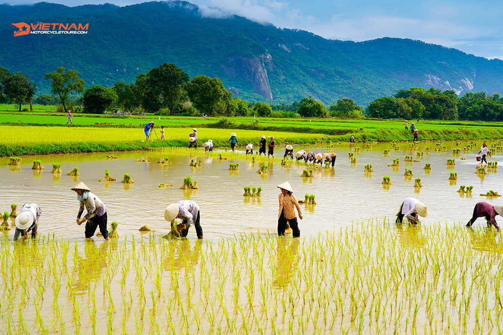 Chau Doc to Ha Tien Motorbike Tour