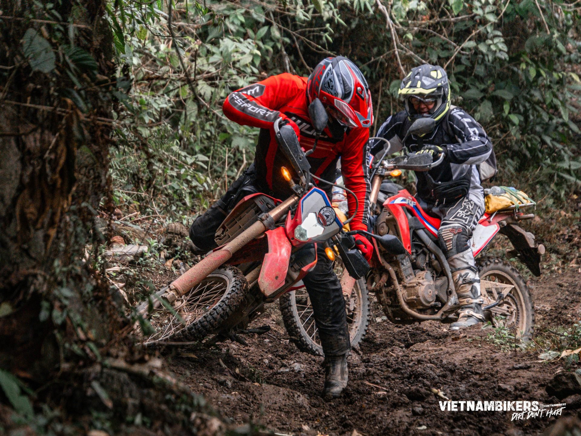 north vietnam motorbike tours 10d9n discover the hidden gems - Motorcycle Tour VietnamBikers